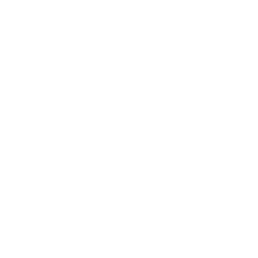 Le Cirque
